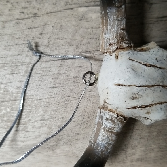 Steer Skull / Long Horn Skull Ornament - Picture 5 of 5